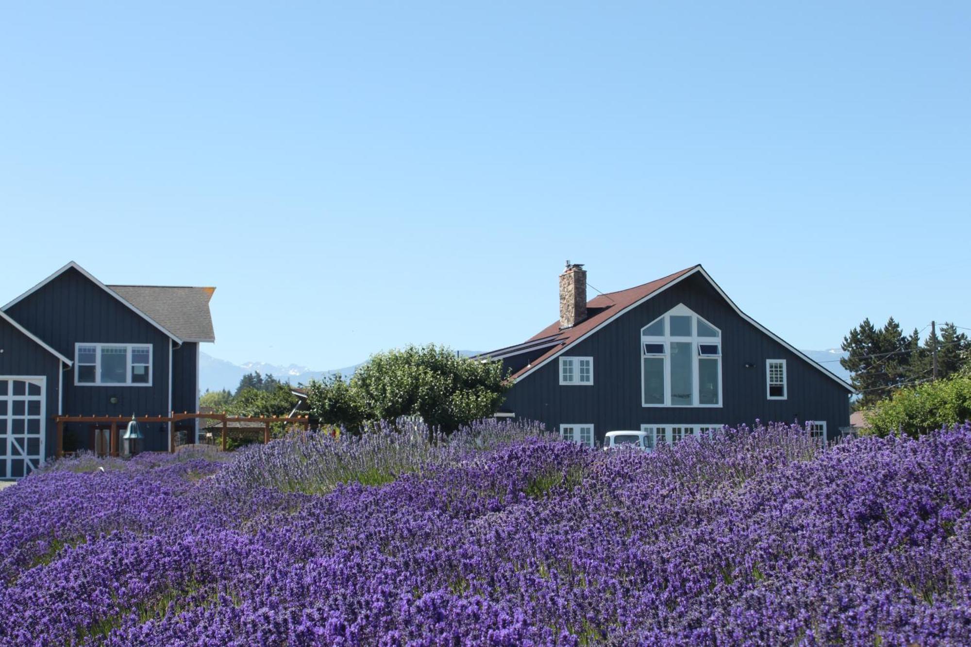 Dungeness Barn House Bed And Breakfast At Two Crows Farm Sequim Esterno foto