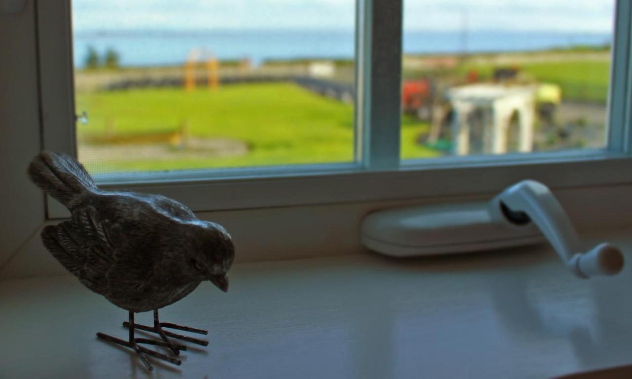 Dungeness Barn House Bed And Breakfast At Two Crows Farm Sequim Esterno foto